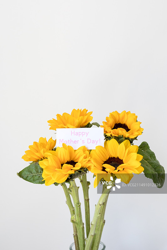 向日葵与母亲节祝福图片素材