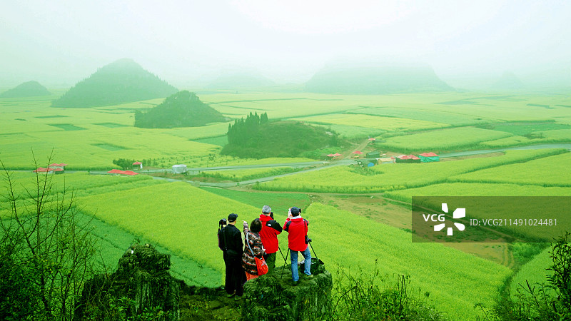 云南曲靖市“罗平油菜花”风光图片素材