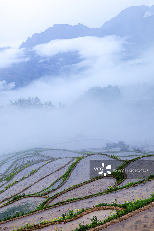云和梯田图片素材