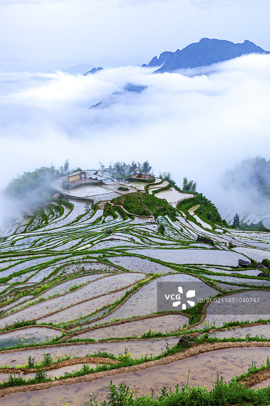 云和梯田图片素材