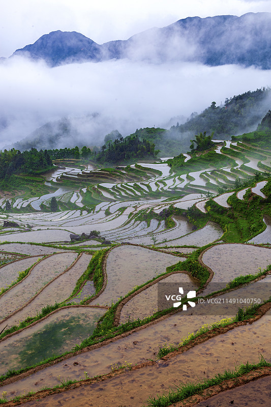 云和梯田图片素材