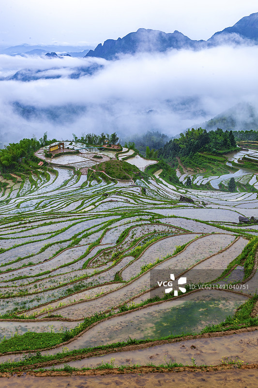 云和梯田图片素材