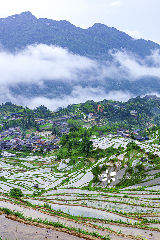 云和梯田图片素材