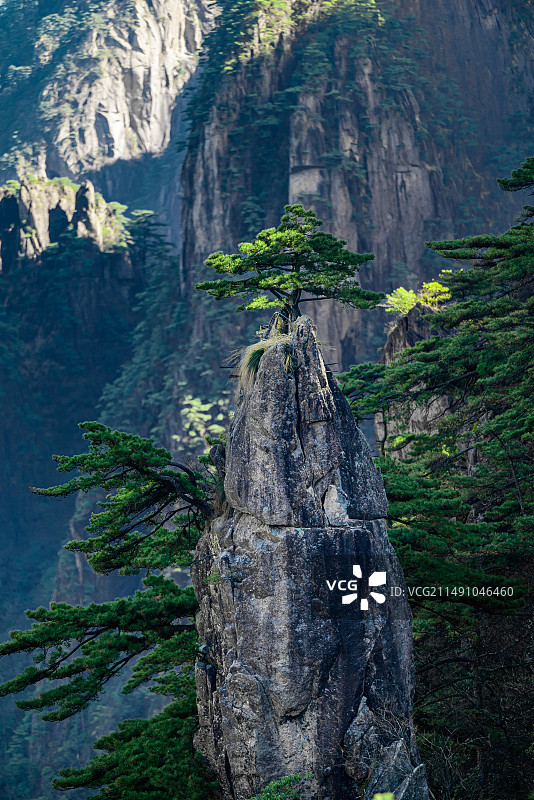 黄山·梦笔生花图片素材