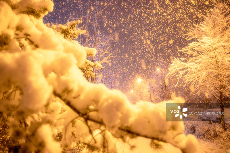 初春时期长春雪夜的美景图片素材