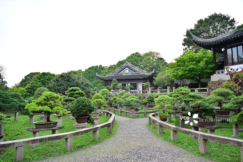 春天苏州虎丘山风景名胜区的万景山庄图片素材