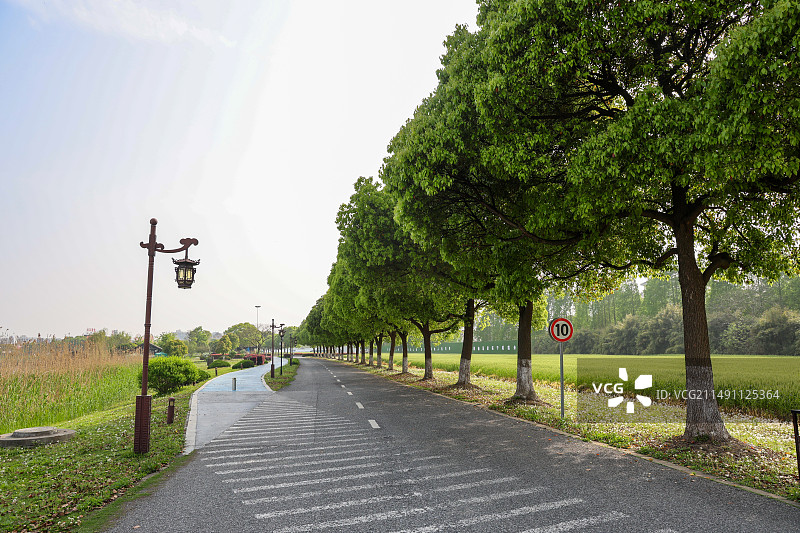 江苏昆山巴城巴解园春天风光图片素材