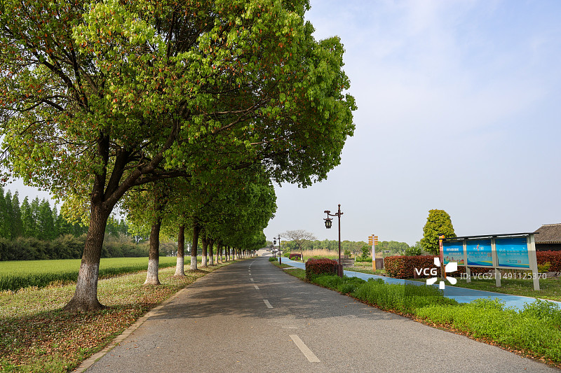 江苏昆山巴城巴解园春天风光图片素材