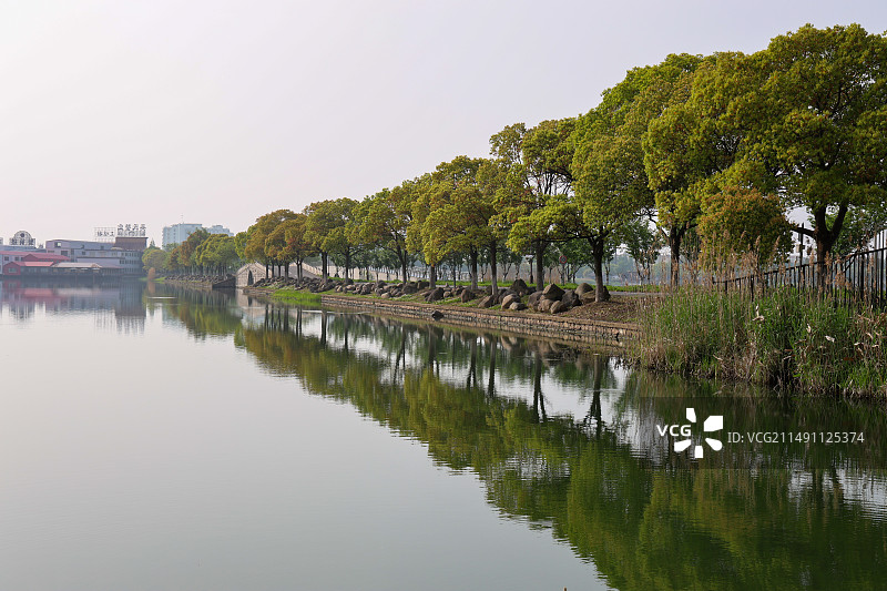 江苏昆山巴城巴解园春天风光图片素材