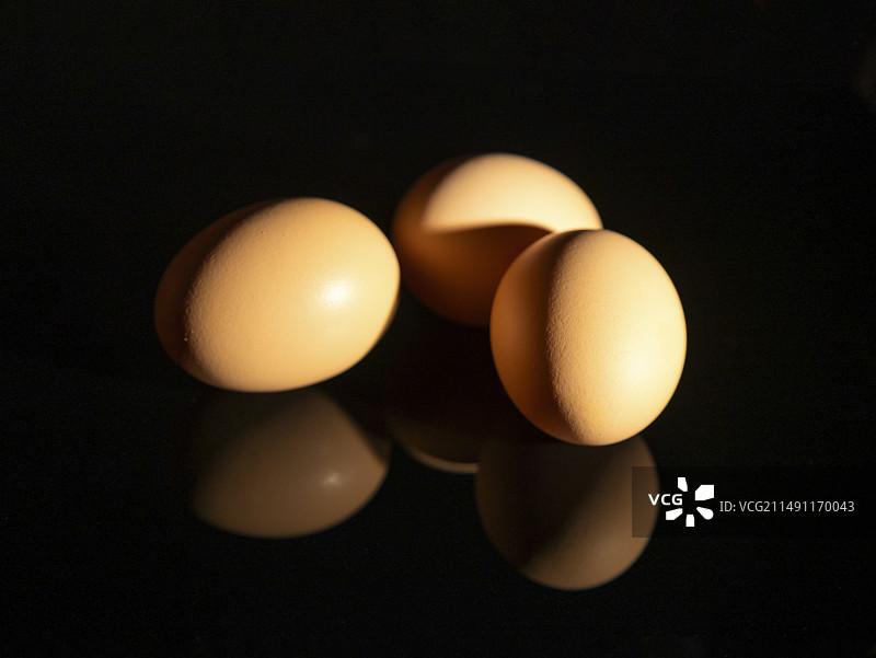 黑背的鸡蛋图片素材