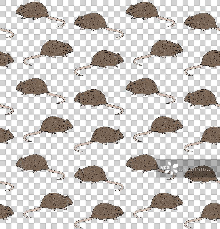 手绘海狸鼠无缝图案图片素材