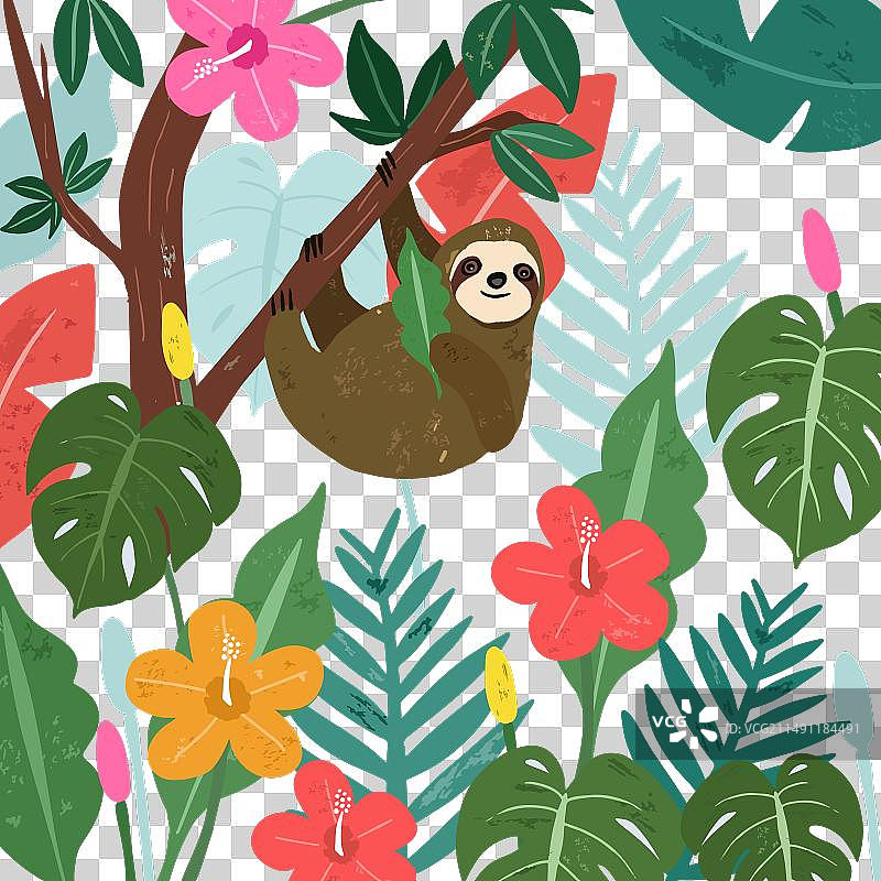 热带森林中色彩缤纷的可爱树懒图片素材