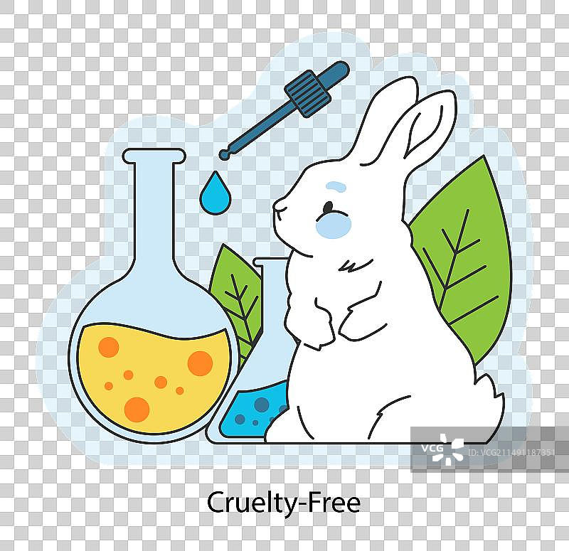 可爱的小白兔：无残忍、可持续图片素材