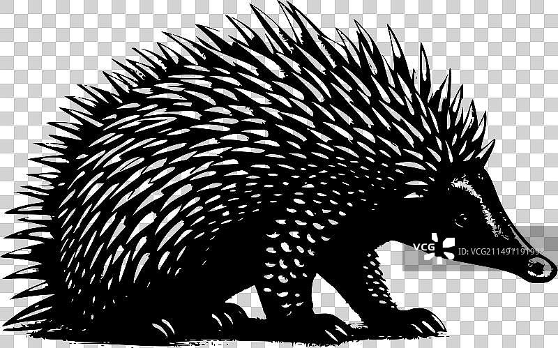 针鼹极简剪影图片素材