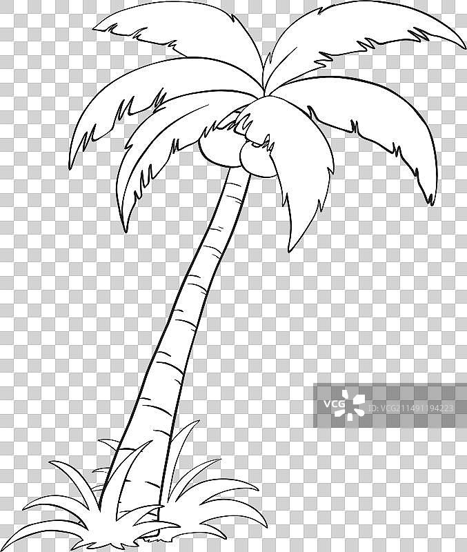 棕榈树黑白线条艺术图片素材