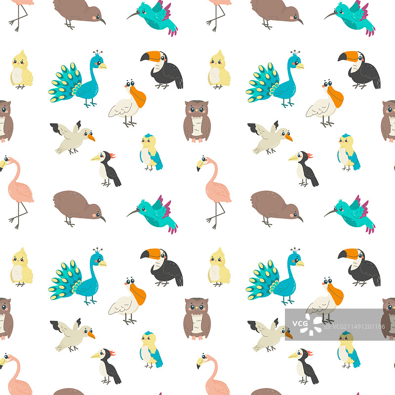 白色背景不同鸟类无缝图案图片素材