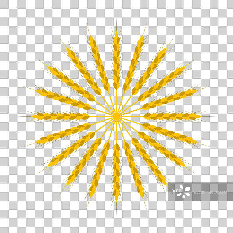 圆形小麦花环装饰图片素材