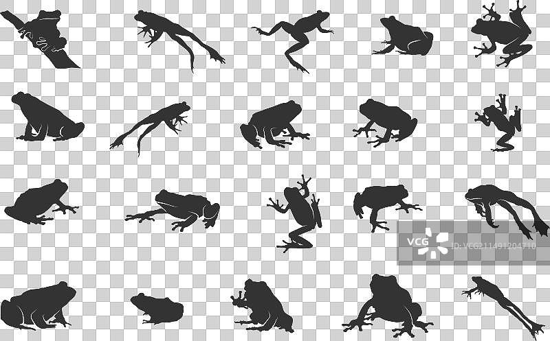 树蛙剪影图片素材