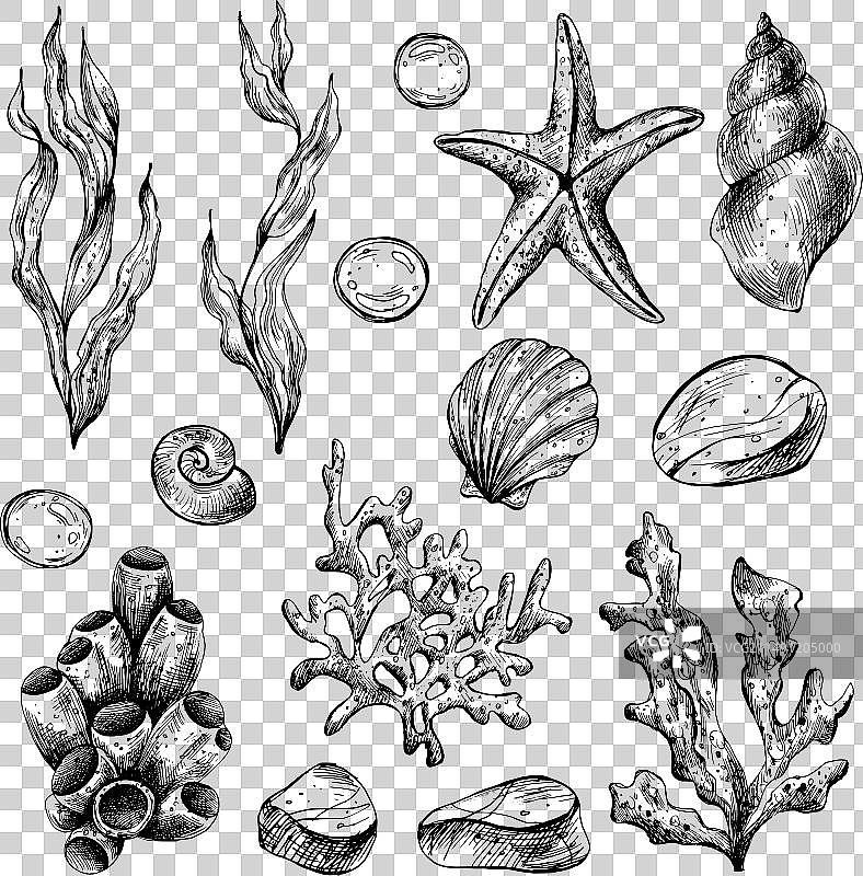 水下世界海洋动物鲸鱼剪贴画图片素材