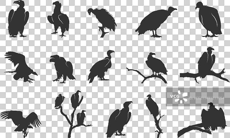 秃鹫剪影图片素材