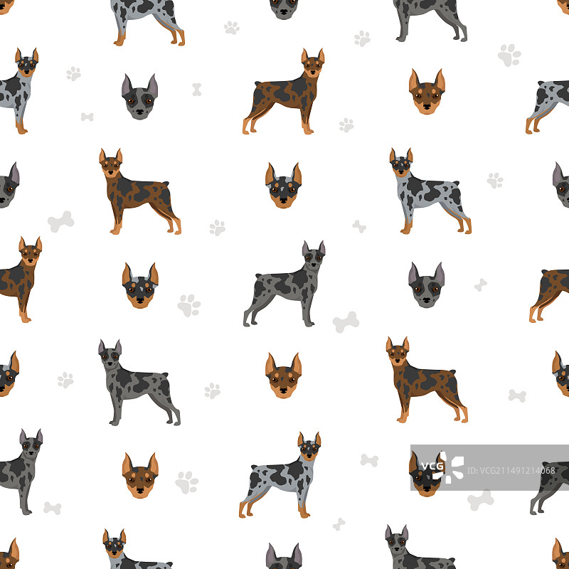 不同的小丑犬无缝图案图片素材