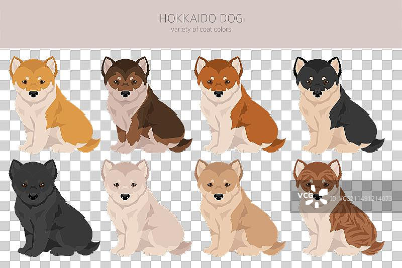 北海道犬小狗爱努犬剪贴画图片素材