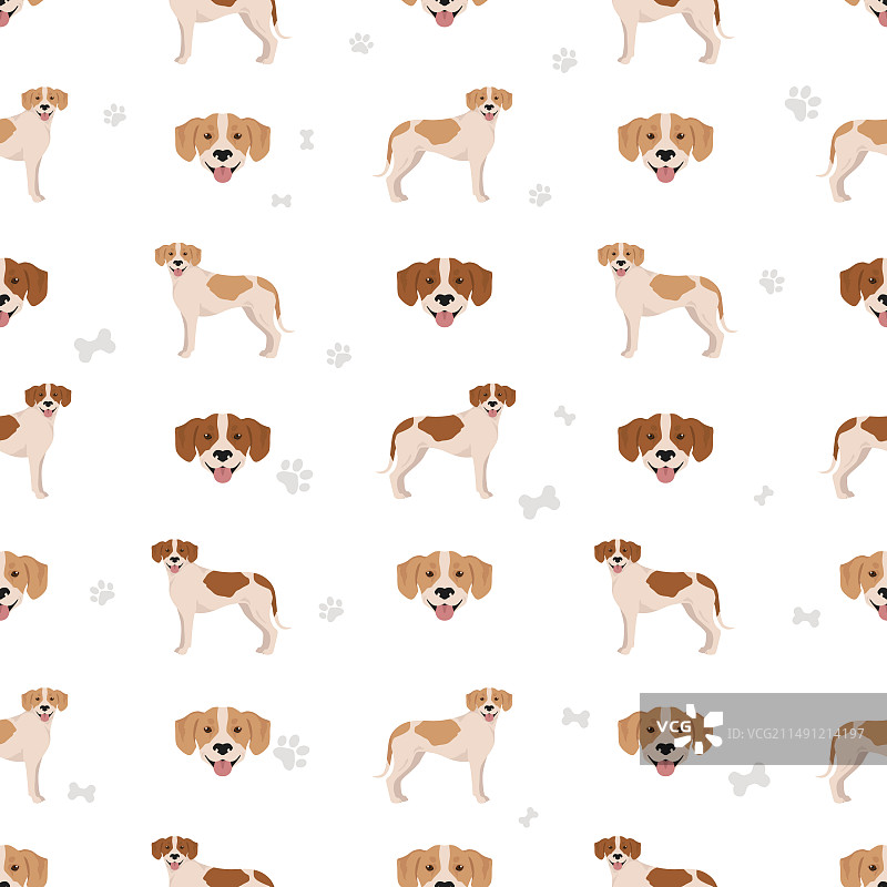 伊斯特拉短毛猎犬无缝图案图片素材