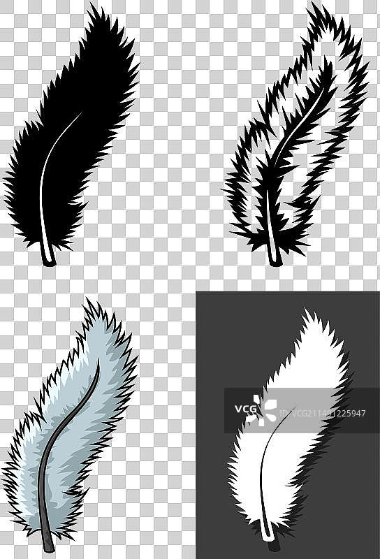 不同概念的羽毛类型合集图片素材