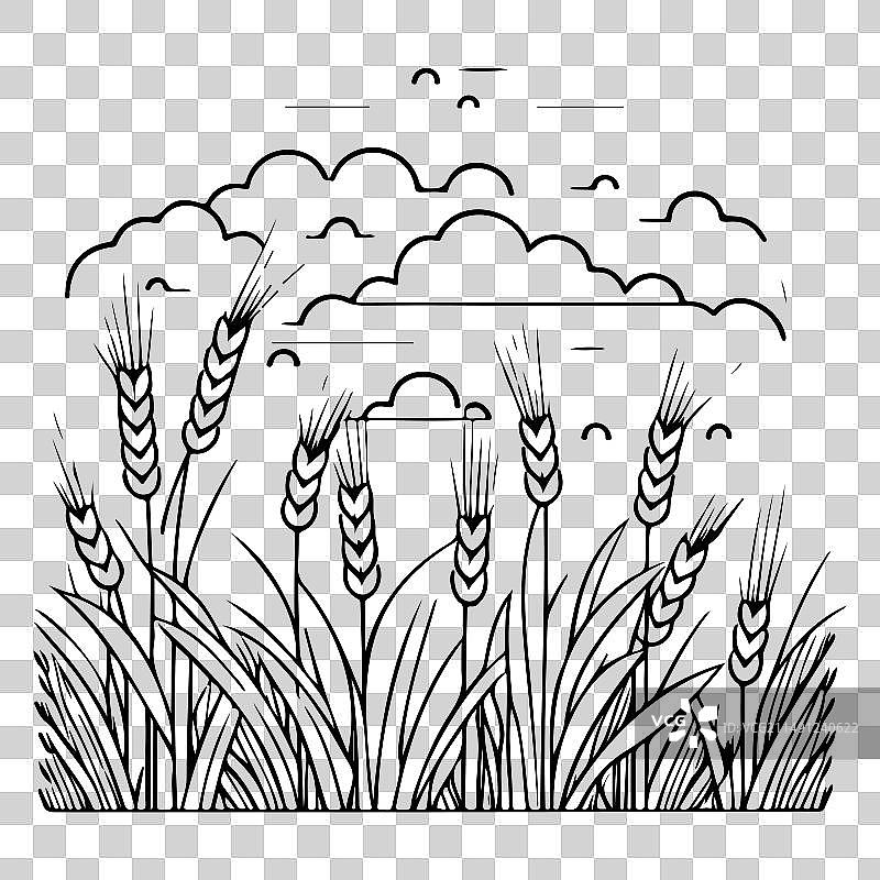 农场农业春季谷物素描图片素材