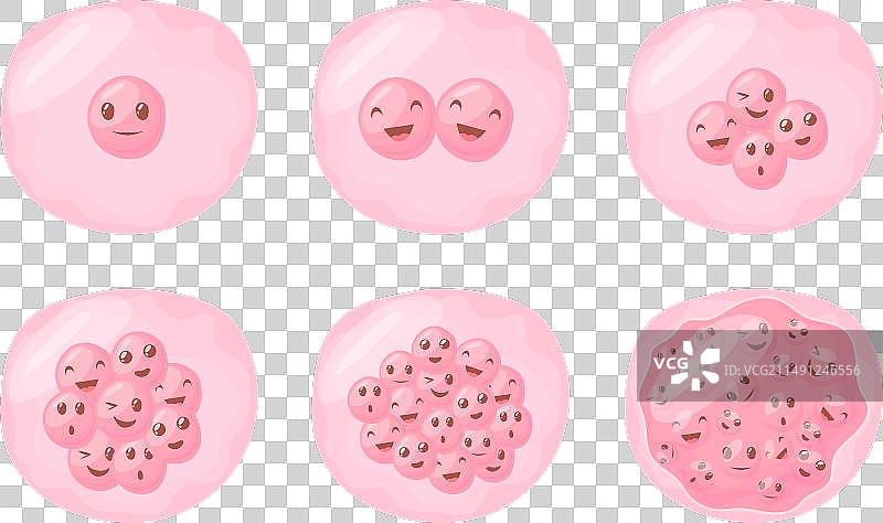 卡通受精卵细胞分裂图片素材