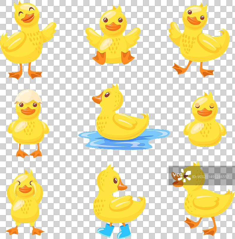 可爱的新生小鸭图片素材