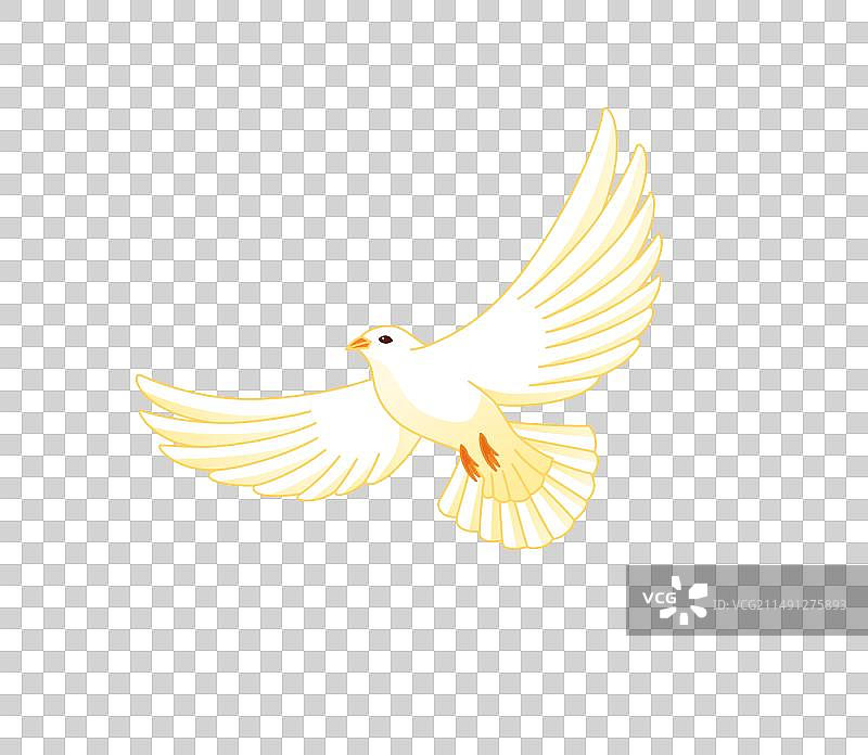鸽子展翅飞翔插画元素图片素材