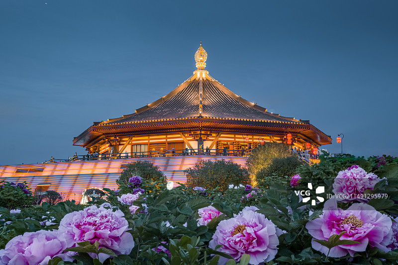 洛阳牡丹明堂图片素材