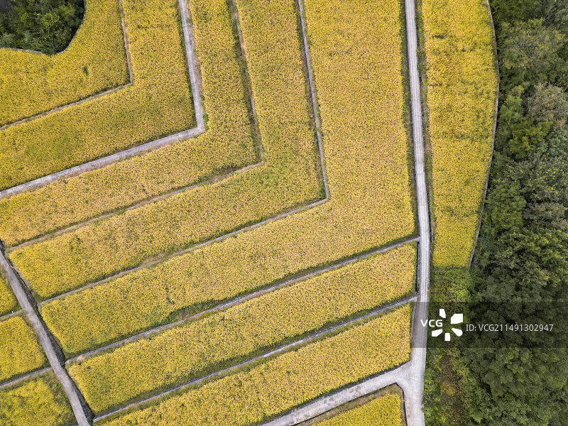 航拍梯田（新昌县沃洲湖）图片素材
