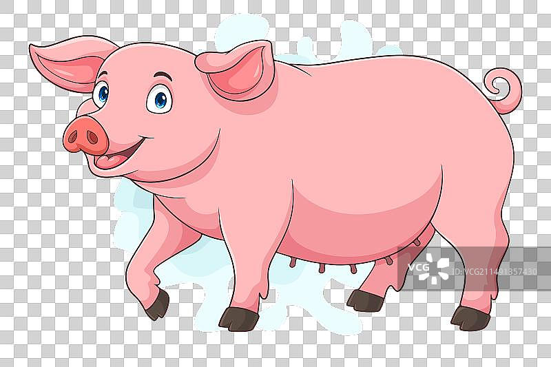 白色背景上的卡通猪图片素材