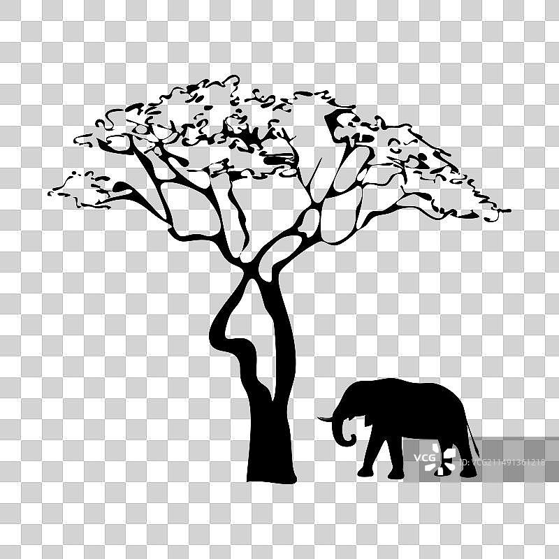 生命之树图片素材