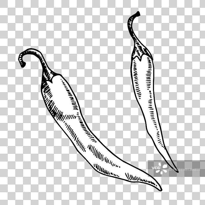 手绘寒冷辣椒图片素材