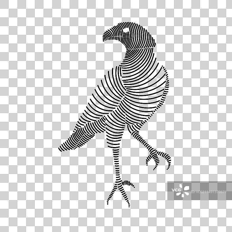 卡拉鹰简约线条艺术图片素材