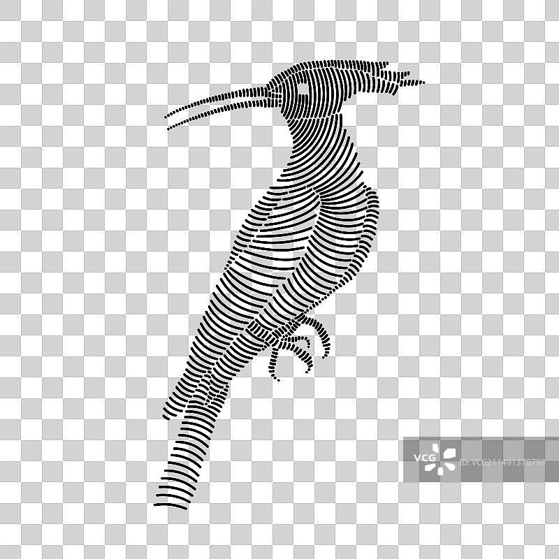 戴胜鸟的简约线条艺术图片素材