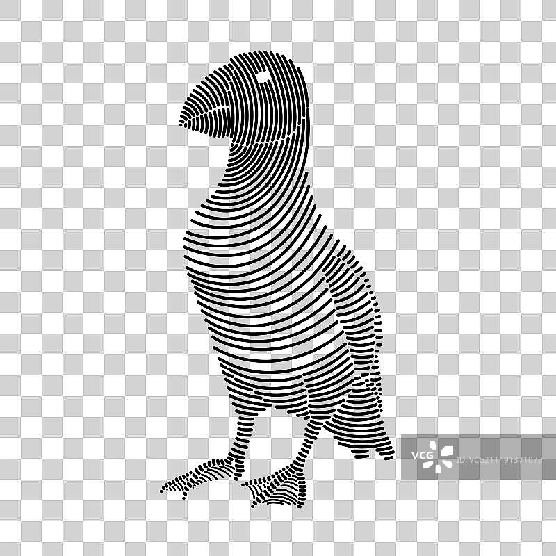 海鹦简约线条画 2图片素材