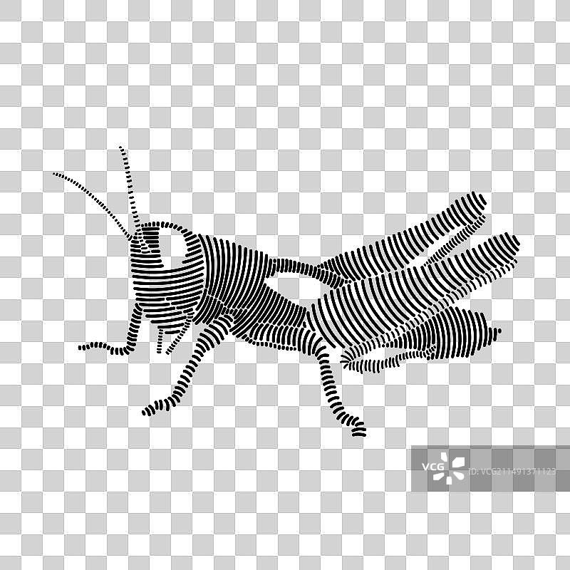蝗虫的简笔画图片素材