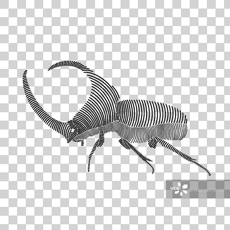 犀金龟简笔画图片素材