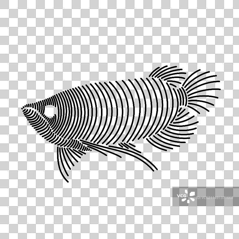 金龙鱼简约线条艺术1图片素材