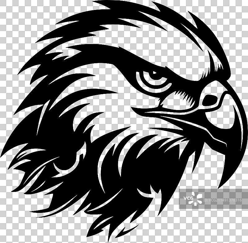 黑白猎隼图片素材