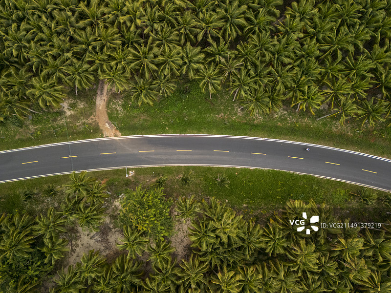 海南省文昌市东郊椰林航拍视角图片素材