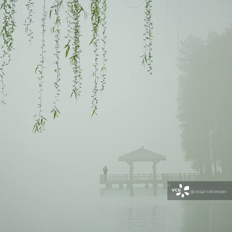 东湖春晓晨雾听涛图片素材