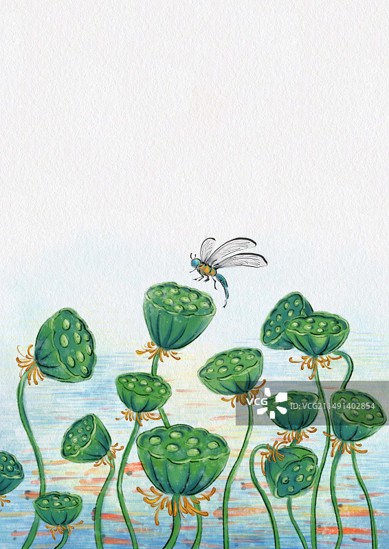 国风水墨插画莲蓬蜻蜓图片素材