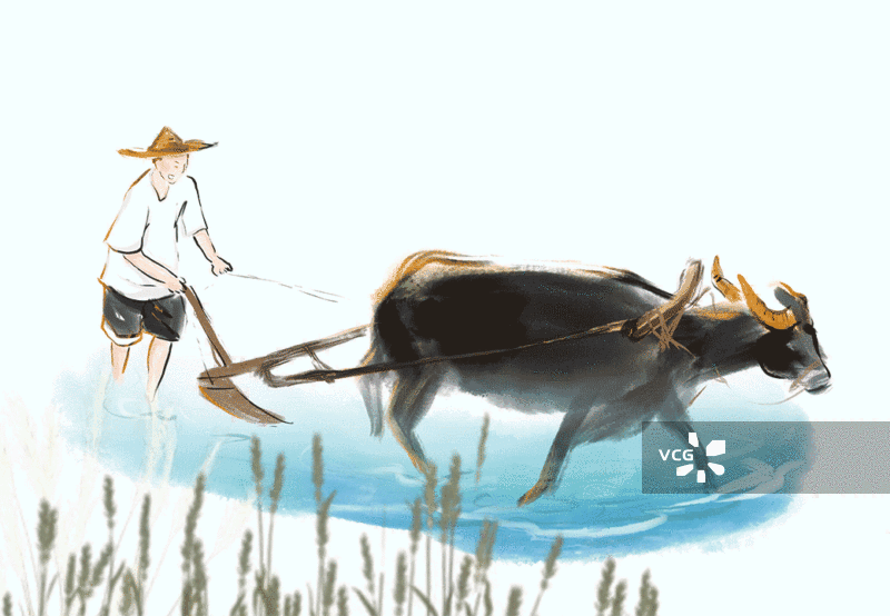 耕地农业农村农民乡村图片素材