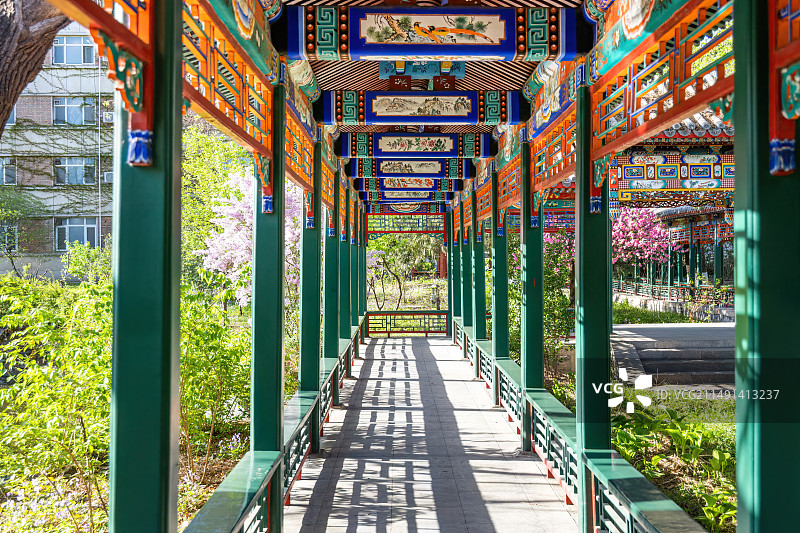 紫丁香和榆叶梅点缀的北京大学勺园勺海曲廊图片素材