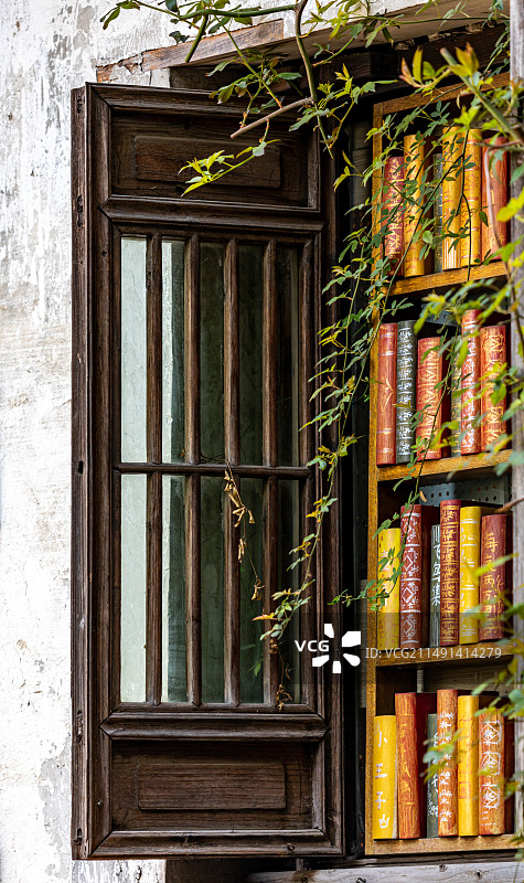 江苏苏州平江路历史文化街区苏州评弹灰墙门窗春色自然建筑景观图片素材